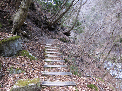 20200110hike (361)